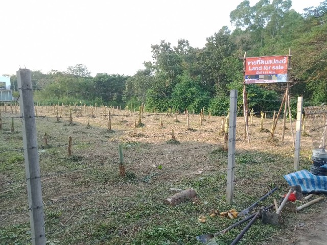 ขายที่ดินเปล่า เนื้อที่ 1-1-11.5 ไร่ ซอยหมู่บ้านน้ำผึ้งวิลเลจ อ.สารภี เชียงใหม่