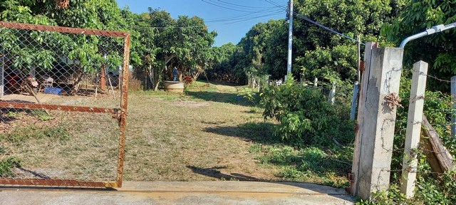 ขายที่ดินเกือบ 9ไร่ 1.9ลบ. สวนลำไย ถนนคอนกรีต ไฟฟ้า หลังติดแม่น้ำลี้ ต.แม่ตืน อ.ลี้ ลำพูน