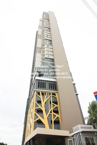 CONDO Rich Park @ Chaophraya ริชพาร์ค @ เจ้าพระยา 10000 บาท. 1นอน ใหญ่ขนาด 32 ตร.-ม. ไม่ไกลจาก MRT ไทรม้า โครต-ถูก นนทบุรี