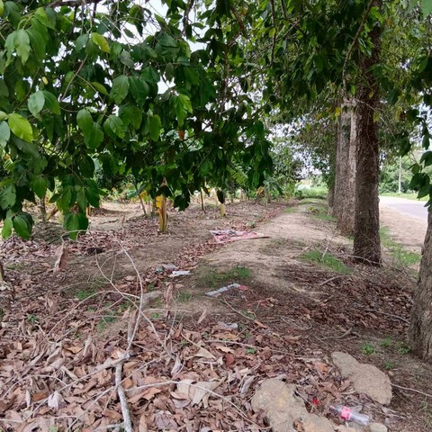 ขายที่ดินบ่อวิน ศรีราชา แปลงงาม ราคาดี ใกล้อีสเทิร์นซีบอร์ด FP-L01619