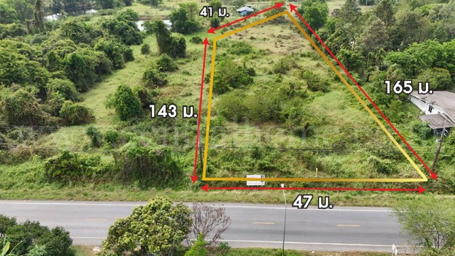 ที่ดินเปล่า 4 ไร่ ติดถนนใหญ่ นย.2003 ป่าขะ นครนายก ทำเลดี