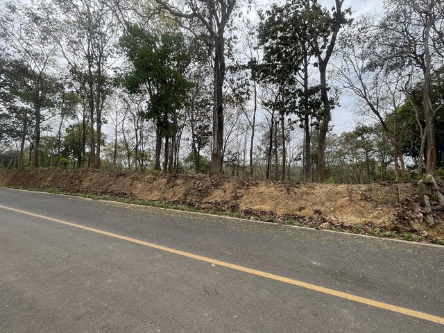 ที่ดินเนินเขาแปลงสวยทำเลงาม ใกล้สนามบิน ติดถนนลาดยาง ติดลำคลอง อ่างเก็บน้ำ