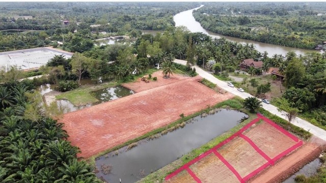 ขายที่ดินเปล่าจัดสรร ติดโครงการเดอะ ริเวอร์ เรสสิเดนซ์ สุราษฎร์ธานี ทำเลศักยภาพ เหมาะสำหรับสร้างบ้านพักอาศัยในโซนชุมชนคุณภาพ