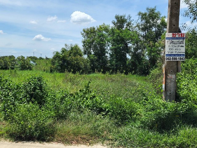 ทดคลองสามพี่เอ๋ ขาย ที่ดิน - ปทุมธานี    1000000 บาท