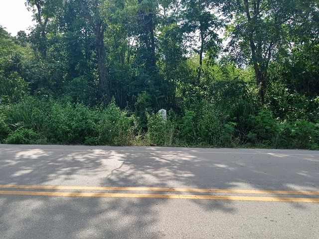 ขายที่ดิน อำเภอวังสะพุง จังหวัดเลย ราคาโปรโมชั่น ลดพิเศษ