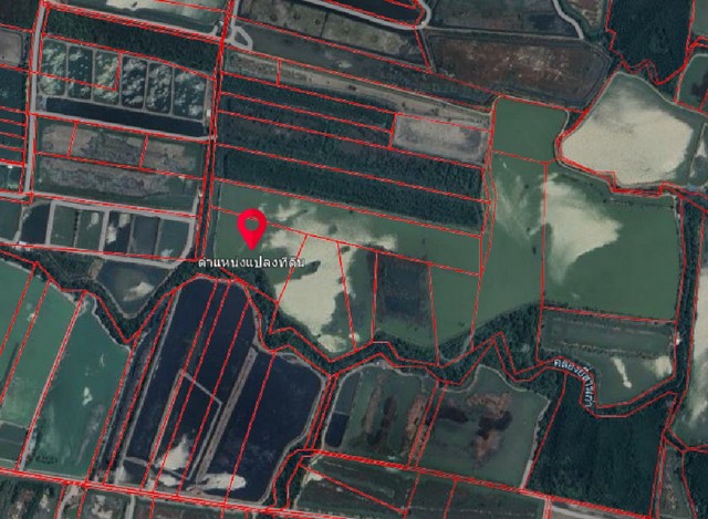 ขายที่ดินพร้อมบ่อเลี้ยงสัตว์น้ำ  90-3-48  ไร่  แพรกหนามแดง ยี่สาร อัมพวา  ใกล้ถนนพระราม 2 เส้นหลักกรุงเทพ-ภาคใต้