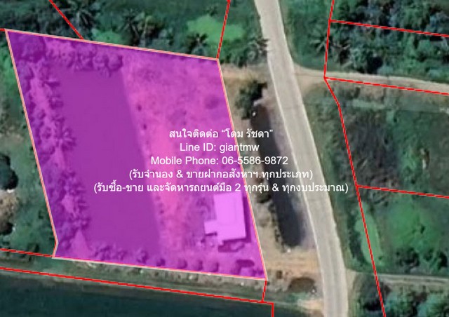 บ้าน ขายที่ดินติดถนน มีบ้านสวนผลไม้ มีบ่อปลา และมีโกดังเก็บของ พร้อมโรงจอดรถ 1-3-79 ไร่ ต.บึงน้ำรักษ์ อ.บางน้ำเปรี้ยว จ.ฉะเชิงเทรา ราคา 3.5 ล้านบาท  พื้นที่เท่ากับ 779 ตาราง-วา 3500000 THB   พร้อมตกแต่ง