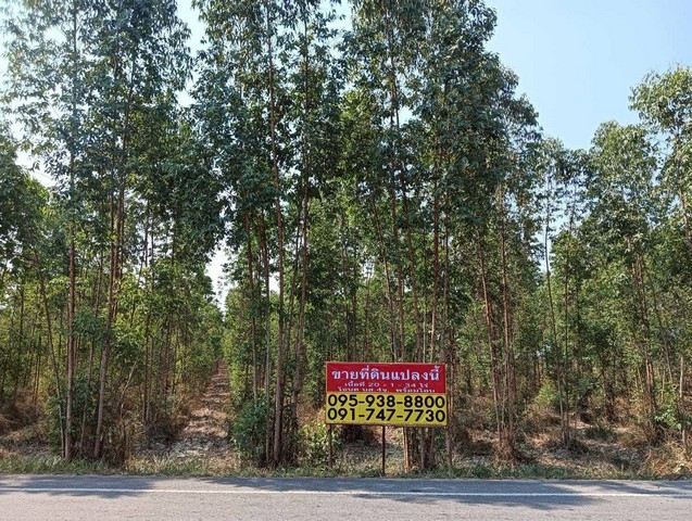 ขายที่ดินสวนยูคาลิปตัส  20-1-34 ไร่ สวนผึ้ง ราชบุรี  วิวภูเขา  ติดถนนบ้านกล้วย - หนองหม้อข้าว
