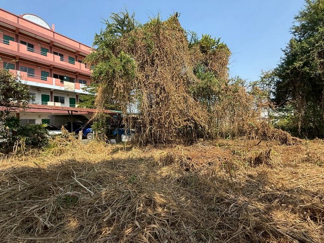 ขายที่ดินเปล่า ซอยหมู่บ้านลัดดาเฮ้าส์ ศรีราชา ราคาดี ถมแล้ว TP-L1910