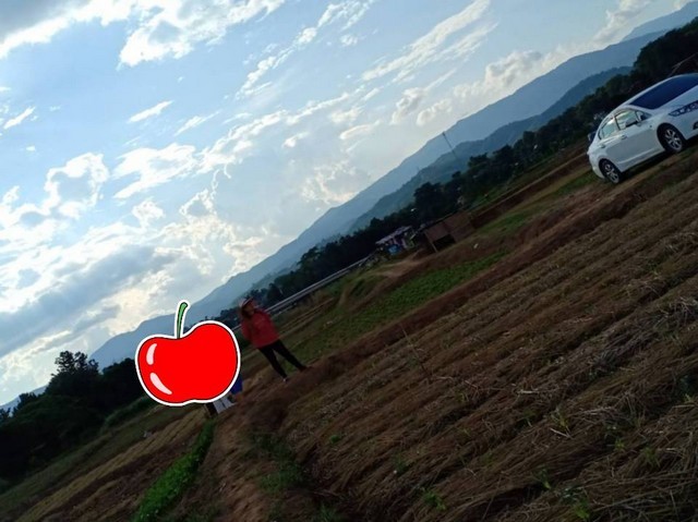 เล็งทรัพย์ดีเก็งเก็บอนาคต ที่สวยติดแม่น้ำน่าน น้ำใสไหลรินตลอดปี  ต.ศรีภูมิ อ.ท่าวังผา จ.น่าน ขาย 800000  วิวดีสวยมาก 0968821857