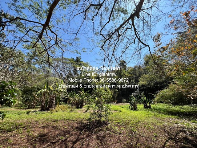 รหัส  DSL-013 ต้องการขาย พื้นที่ดิน ขายที่ดินบนเนินเขา และที่ราบสลับซับซ้อนกันแปลงใหญ่ อ.ดอยสะเก็ด จ.เชียงใหม่ 23-2-68.9 ไร่ ราคา 71 ล้านบาท  71000000 thb  ขนาด 23 RAI 2 งาน 69 ตาราง-วา ใกล้กับ ห่างท่าอากาศยานนานาชาติเชียงใหม่ 40 นาที !!!