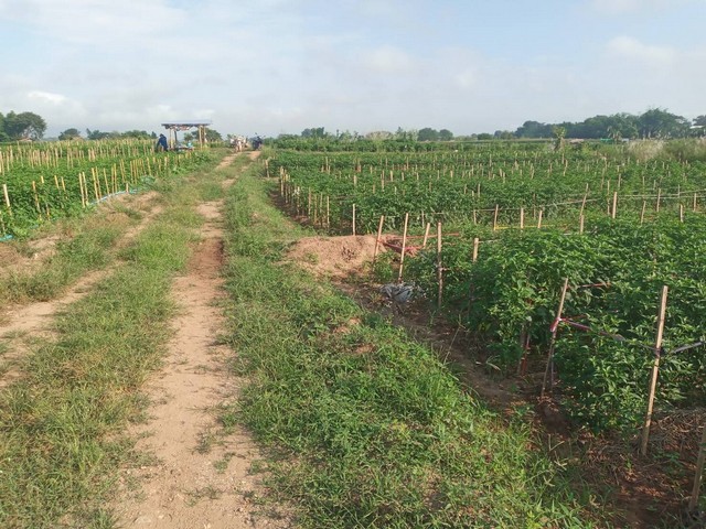 จากใจคนขายถึงใจผู้ซื้อ  ที่สวยติดแม่น้ำน่าน น้ำใสไหลรินตลอดปี  ต.ศรีภูมิ อ.ท่าวังผา จ.น่าน ขาย 800000  วิวดีสวยมาก 0968821857