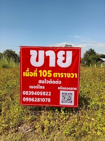 ขายที่ดินถมแล้ว อำเภอแม่แตง จังหวัดเชียงใหม่ เนื้อที่ 105 ตารางวา