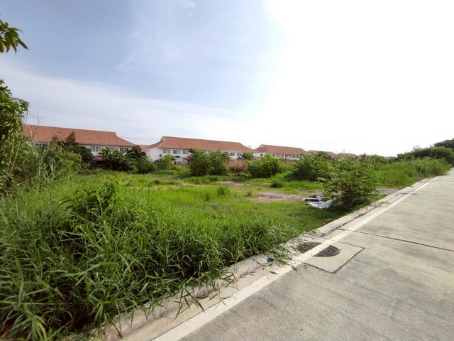 ที่ดิน ที่ดินเปล่าบางพลี บางนา ใกล้สุวรรณภูมิ area 1693 ตาราง-วา  ใกล้กับ Mega Bangna สนามบินสุวรรณภูมิ FOR SALE ที่ดินสวยทำเลศักยภาพ แบ่งขายได้ เหมาะกับการซื้อเพื่อปลูกบ้านครอบครัวขนาดใหญ่ หรืออยากลงทุนเป็นโครงการบ้านจัดสรร