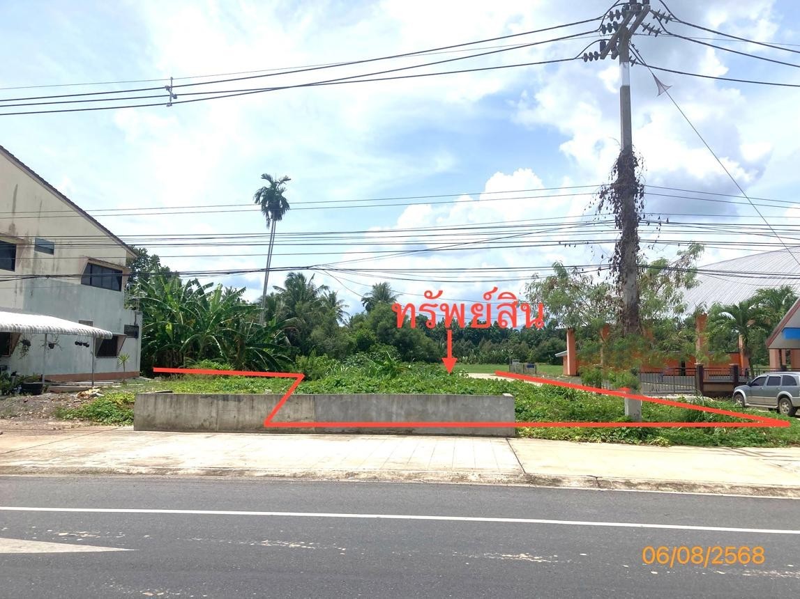 ขาย ที่ดิน สุราษฎร์ธานี   อำเภอ กาญจนดิษฐ์ จังหวัด สุราษฎร์ธานี