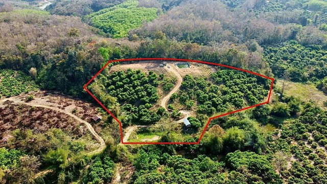 ขายที่ดิน น่าน ที่ดินแปลงสวย ทำเลดี  เป็นเนินเขา 7 ไร่ 1 งาน