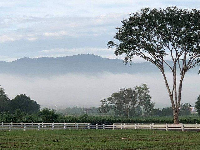 สัมผัสชีวิตเรียบง่ายแต่มีรสนิยม ทำเลทองของเขาใหญ่ ตอบโจทย์การอยู่อาศัยและการลงทุนในอนาคต