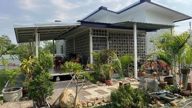 ขาย ที่ดิน ท่ายาง เพชรบุรี 5 ไร่ 1 งาน 87 ตร.วา สถานที่ใกล้ มหาวิทยาลัยศิลปากร วิทยาเขตสารสนเทศเพชรบุรี
