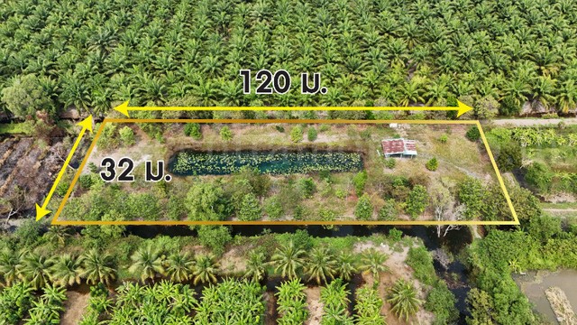 ที่ดินเปล่า 2-1-60 ไร่ เลียบคลอง 12 หนองเสือ ราคาถูก
