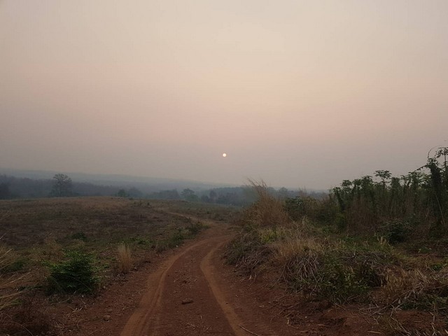 รวมบ้านที่ดินดีงามเพื่อคุณ  ธรรมชาติเนินเขา ที่ดินโฉนดแบ่งขาย หล่มเก่า เพชรบูรณ์ ใกล้ภูทับเบิก โทร 0968821857