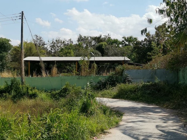 ขายโกดัง   ซอยหนองไผ่พัฒนา อำเภอลำปลายมาศ บุรีรัมย์