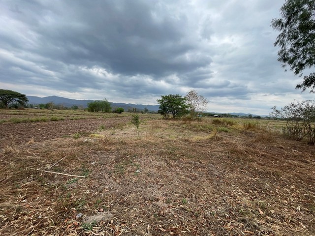 ขายที่ดินว่างเปล่า  ถนนบ้านหัวขัว-บ้านค้างหงษ์  อำเภอจุน  พะเยา