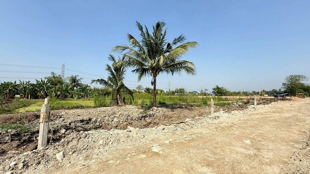 ขายด่วนที่ดิน 200 ตร.วา บึงขวาง3  แยก18  ใกล้โรงเรียนเตรียมอุดมศึกษาพัฒนาการสุวรรณภูมิ   มีนบุรี   ZT905