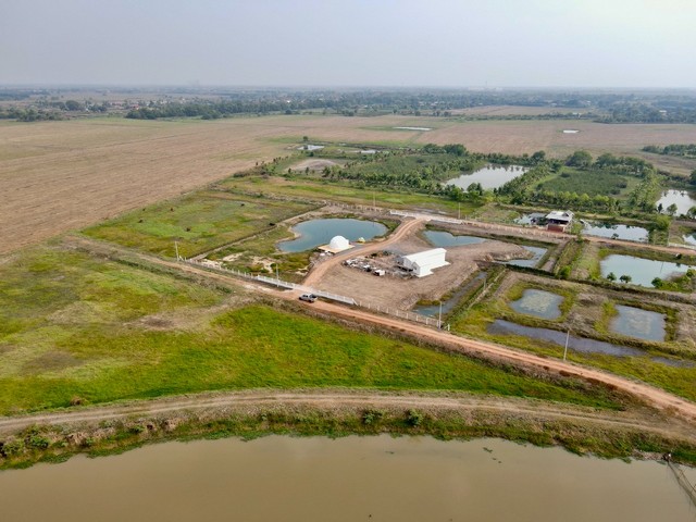 ที่ดิน - พื้นที่ =  800 SQ.WA  1160000 B.   ลดแบบสุดๆ