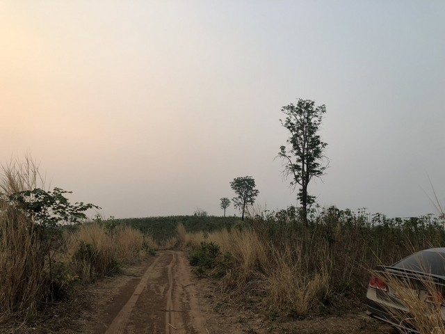 สู่ยุคหาทรัพย์ดีเอื้อเศรฐกิจ  ธรรมชาติเนินเขา ที่ดินโฉนดแบ่งขาย หล่มเก่า เพชรบูรณ์ ใกล้ภูทับเบิก โทร 0968821857