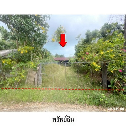 ขายบ้านเดี่ยว ถ.สายสงขลา-ระโนด (ทล.408) ตำบล ชุมพล อำเภอ สทิงพระ จังหวัด สงขลา