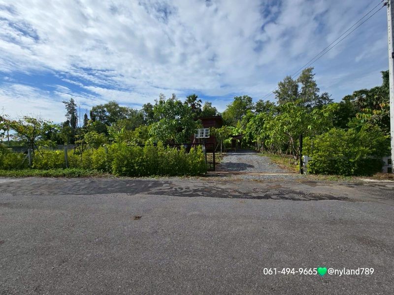 ขายบ้านสวนเดินทางง่าย ใกล้ มศว.องครักษ์ ย่านคลอง 16 บ้านไม้นกพื้นสูง หันทิศเหนือ การเดินทางสะดวกสบาย