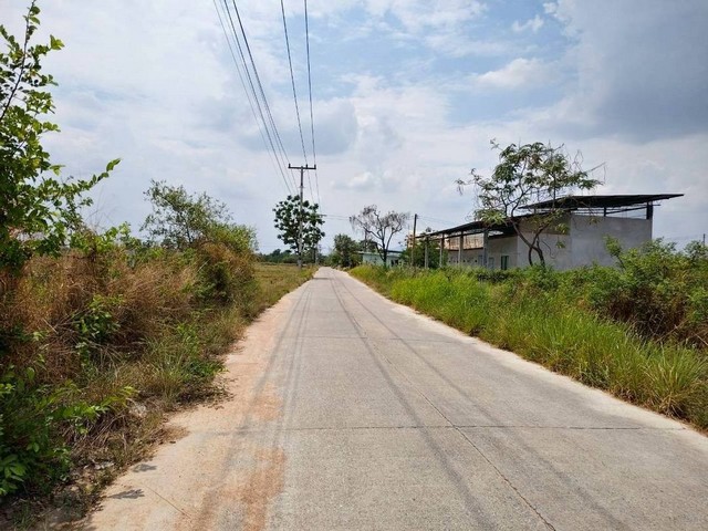 ให้เช่าที่ดินพานทองชลบุรี ให้เช่าที่ดินเปล่า 60 ไร่ ต.หนองหงษ์ อ.พานทอง จ.ชลบุรี ไร่ละ 8500 บาท/เดือน