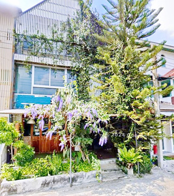 กรึ่มๆขึ้นรถไฟฟ้าอย่างปลอดภัย MRTแจ้งวัฒนะ14 140ม. ให้เช่าอาคาร 3ชั้น 2คูหา  280 ตร.ม. ร้านคราฟเบียร์  ม.ธุรกิจบัณฑิตย์ 2.5 กม.ผู้คนหนาแน่น