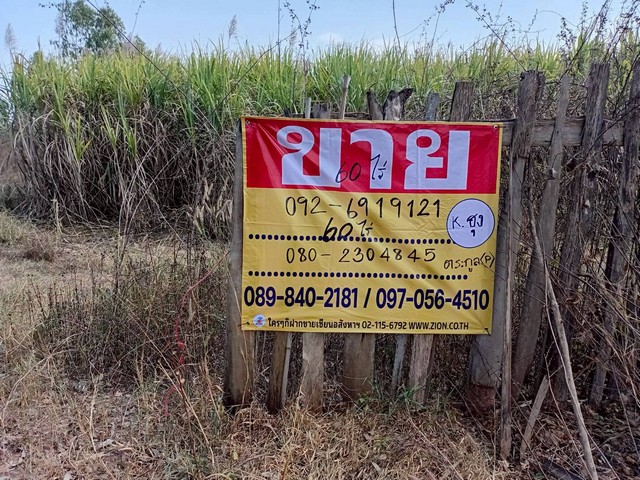 ขายที่ดินไร่อ้อย 60 ไร่ ดงมะไฟ  เมืองสกล เหมาะทำเกษตรกรรม   ZE603