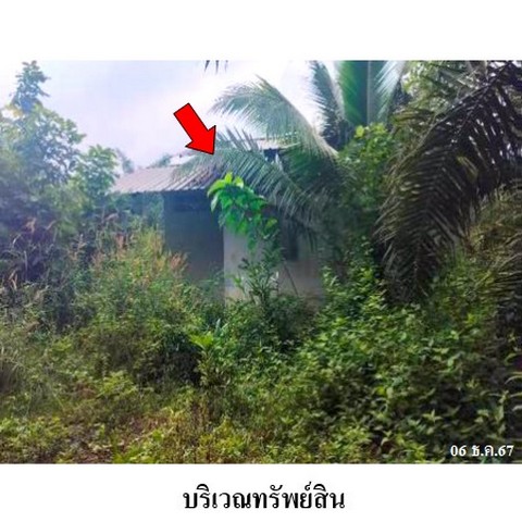 ขายบ้านเดี่ยว ถนน สายแยก ทล.401-บ้านวังหวาย (สฎ.3012) ตำบล ทุ่งกง อำเภอ กาญจนดิษฐ์ จังหวัด สุราษฎร์ธานี