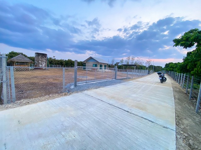 ขายที่ดิน 2งาน 699000บาท ฟรีโอน ถม รั้ว ถนน ไฟฟ้า ประปา ต.ท่าวังพร้าว อ.สันป่าตอง เชียงใหม่