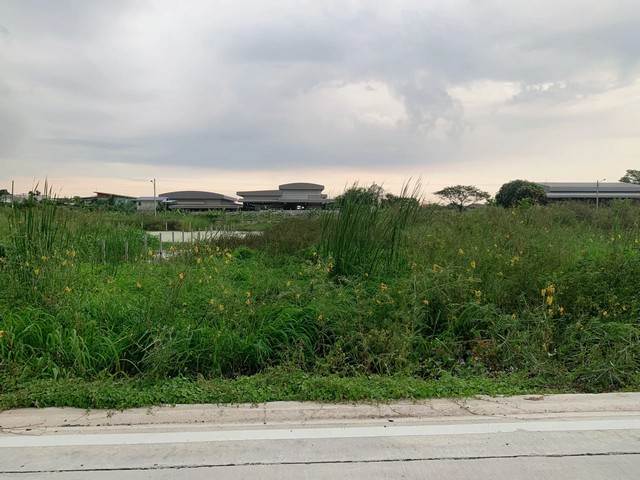 ขายที่ดิน 1 ไร่ ราคาถูก ซอยกลั่นกรอง2  คลองสอง  คลองหลวง ปทุมธานี