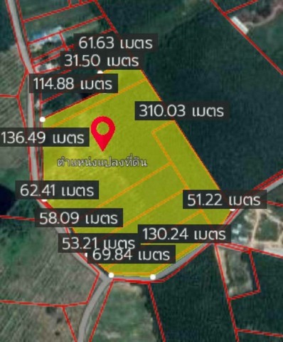 ขายที่ดินหลังปั๊มปตท. ห้วยมะระ หนองเสือช้าง อำเภอหนองใหญ่ จังหวัดชลบุรี เนื้อที่ 47 ไร่ 40 ตารางวา