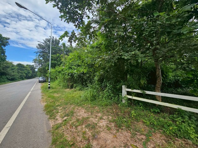 ขายที่ดิน อำเภอกันทรวิชัย มหาสารคาม ติดถนนหลักราดยาง อำเภอกันทรวิชัย จังหวัดมหาสารคาม