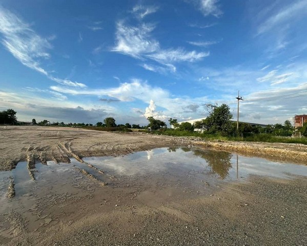 ขายที่ดิน 19.2.85 ไร่ ผังสีม่วงลาย อมตะนครเฟส 10 พานทอง ชลบุรี