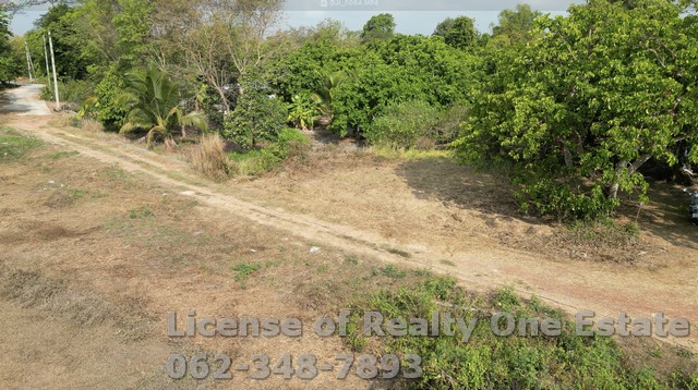 [ขายด่วน!] ที่ดินผังสีเขียว 7 ไร่เศษ ต.ดงขี้เหล็ก จ.ปราจีนบุรี ติดทางสาธารณะ ทำเลทองบ้านสวนและเกษตรกรรม!