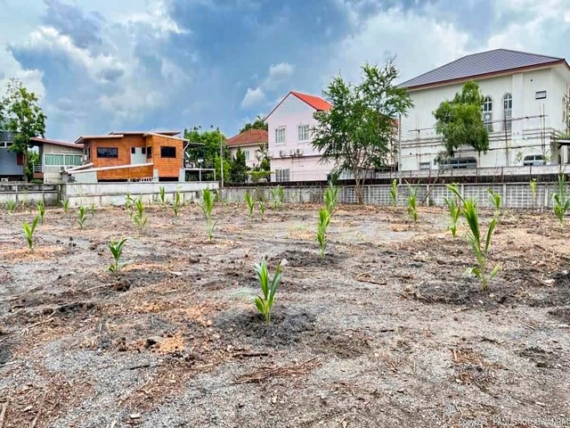 ขายที่ดินเปล่าถมแล้ว 2 ไร่ 3 งานกว่า ย่านวัชรพล ติดถนนสุขาภิบาล 5 ใกล้ทางด่วน ใกล้ตลาดวงศกร **ติดริมถนน มองเห็นง่าย เหมาะสำหรับทำธุรกิจ