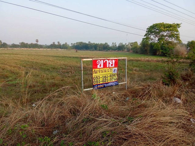 ขายที่ดินทำเลดี   ราคาถูก   12-0-0 ไร่ ตะกั่วป่า หนองสองห้อง ขอนแก่น   ZK626