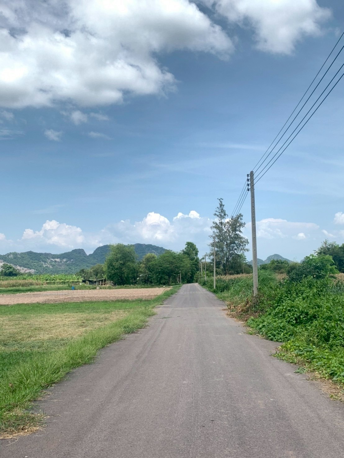 ขายที่ดิน  7 ไร่ 3 งาน 2.6 ตารางวา เจ้าของขายเอง  ต.ทุ่งหลวง อ.ปากท่อ จ.ราชบุรี