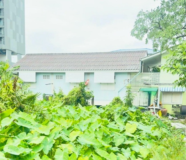 BTS วุฒากาศ 750 ม. บ้านเดี่ยวชั้นเดียว ภาษีเจริญ 2 นอน  จัดเต็มเฟอร์ฯ  40 ตร.ม. ม.สยาม 1.6 กม. เดอะมอลล์ ท่าพระ 1.3 กม. ตลาดพลู 400 ม.