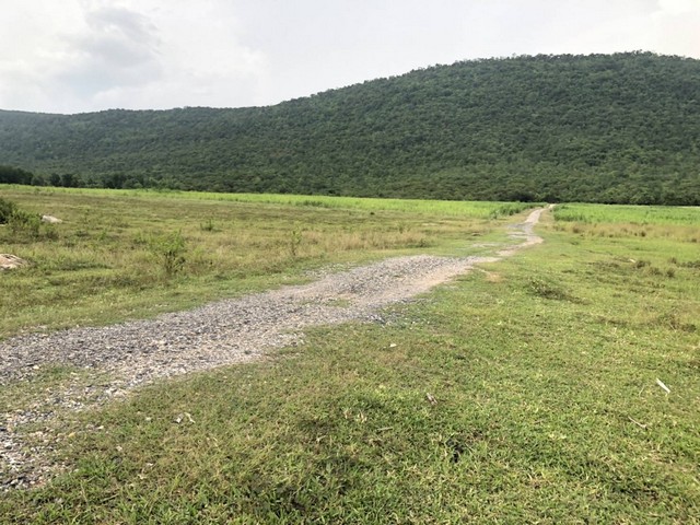 พรีเซ้นทรัพย์ทำเลทองใกล้สิ้นปี ขายที่ดินสวยติดภูเขา เทือกเขายาวเรียงแนว ดินดีสมบูรณ์ทรัพย์ในดิน ฟ้าใสวิวหลักล้าน ต.นาจาน อ.สีชมพู จ.ขอนแก่น