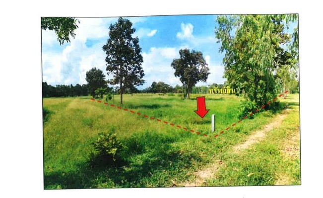 ขายที่ดินเปล่ายกแปลง อำเภอพยัคฆภูมิพิสัย จังหวัดมหาสารคาม ติดถนนใหญ่จังหวัดมหาสารคาม