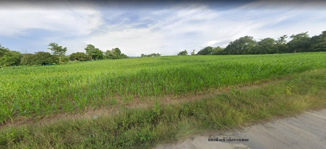 ขายที่ดิน เพชรบูรณ์ วังชมพู ที่ดินกว้างติดถนน สระบุรี-หล่มสัก เพียง 500 เมตร