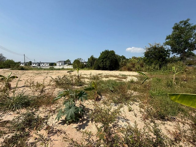 ขายที่ดินศรีราชา นาพร้าว ที่ดินถมแล้ว ใกล้ J-Park สร้างบ้านได้ TP-L1901