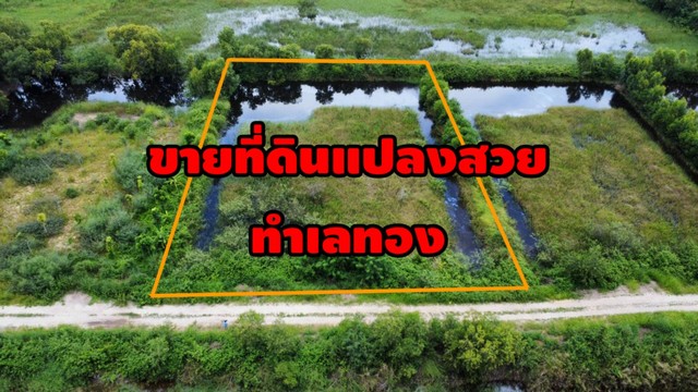 ขายที่ดิน ใกล้ตลาดสี่ขวา 2ไร่ ต.ลำตาเสา อ.วังน้อย จ.อยุธยา